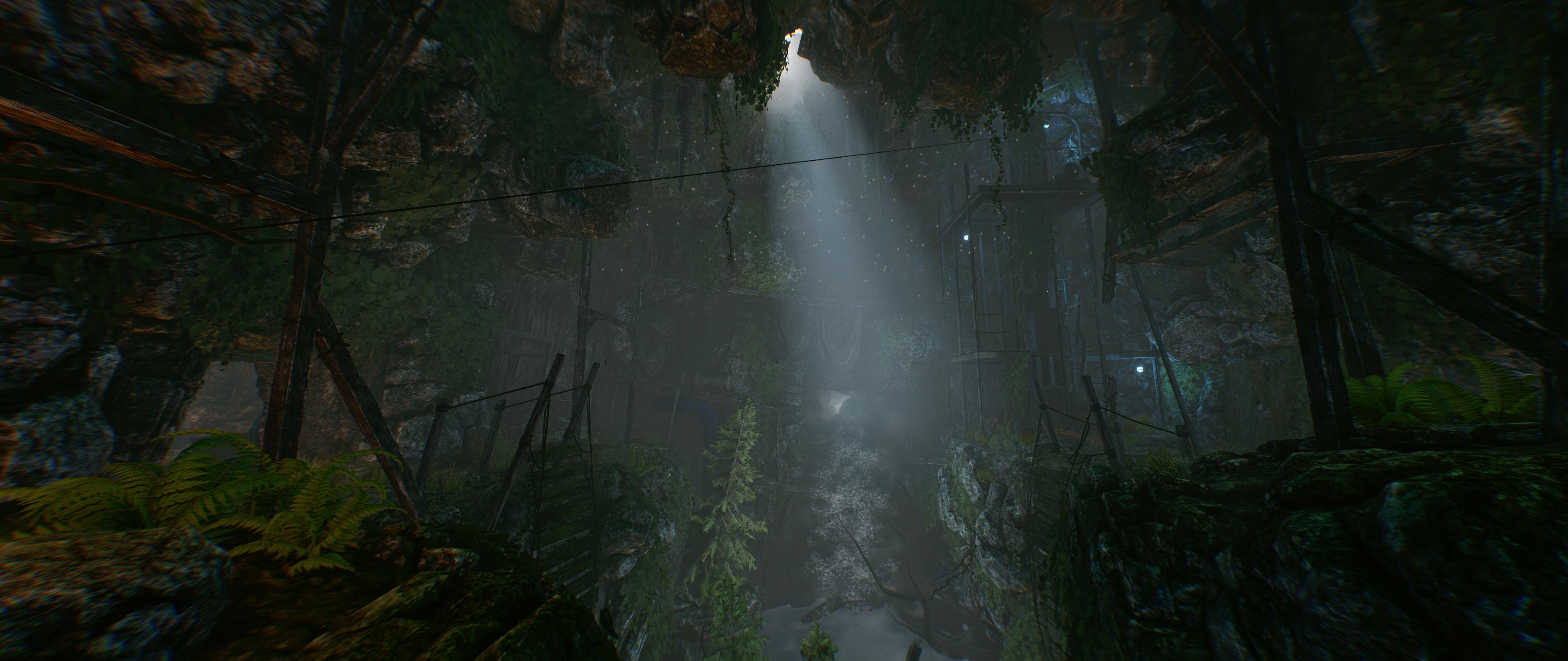 Hidden forest